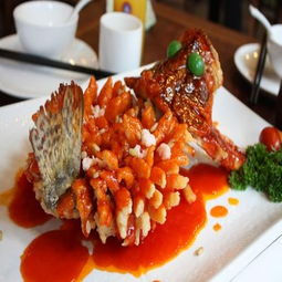 小廚娘淮揚菜加盟條件、費用及聯系方式詳解